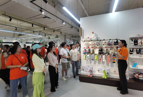 吉林省大學生走進遼源 創(chuàng)業(yè)就業(yè)雙選實踐活動成功舉辦，勞務派遣服務助力人才對接